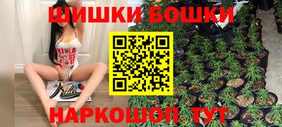 индика Северобайкальск