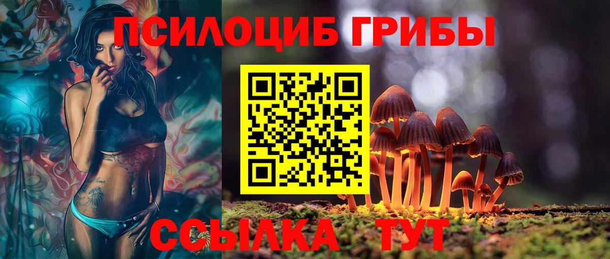 Галлюциногенные грибы Cubensis  Вход с VPN  Новороссийск 