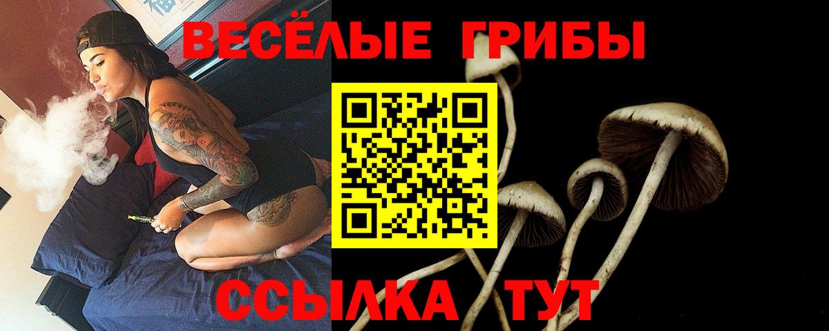 Псилоцибиновые грибы MAGIC MUSHROOMS Новороссийск